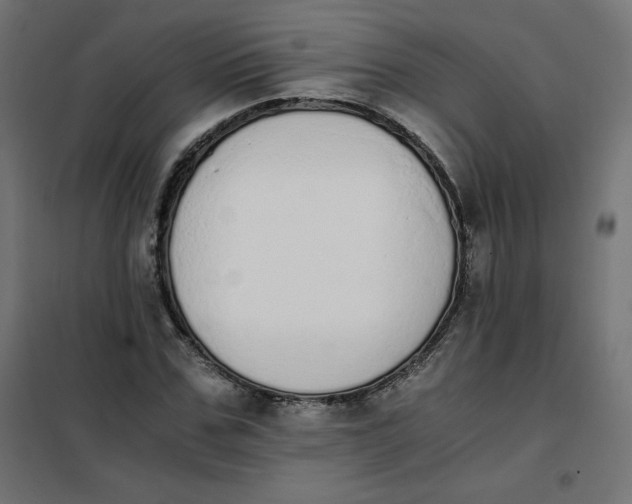 X0000101390971200807280934