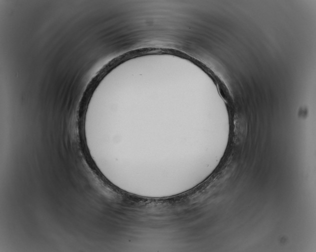 X0000101390972200807280934