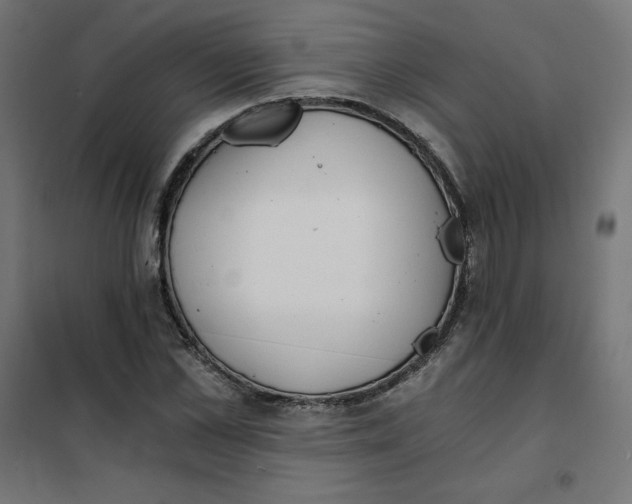 X0000101390973200807280934