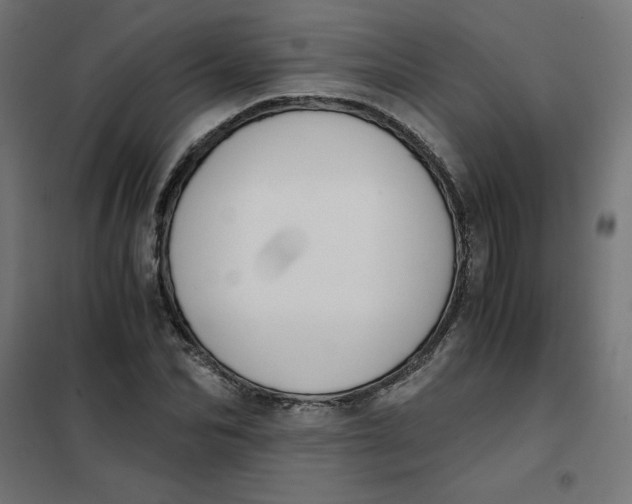 X0000101390974200807280934