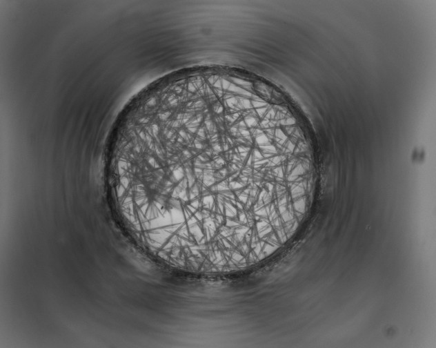 X0000101390975200807280934