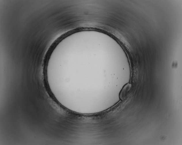X0000101390976200807280934