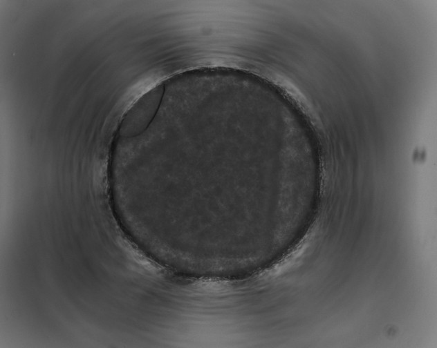 X0000101390977200807280934