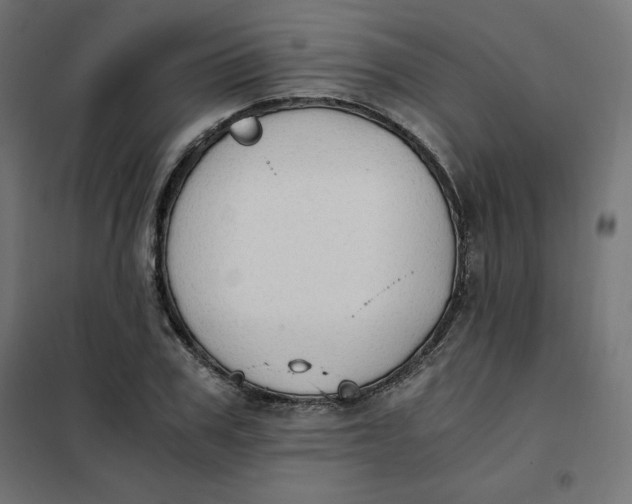 X0000101390979200807280934