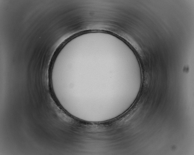 X0000101390980200807280934