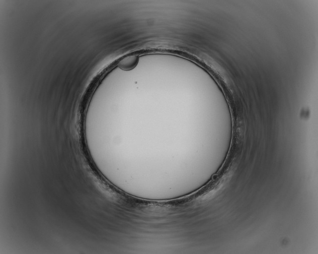 X0000101390981200807280934