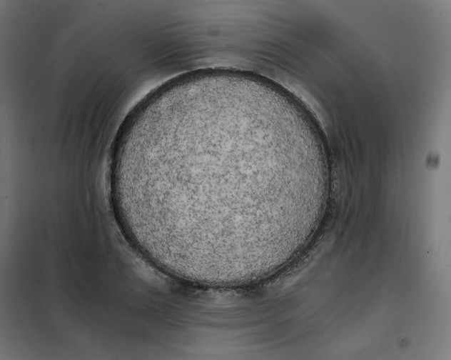 X0000101390983200807280934