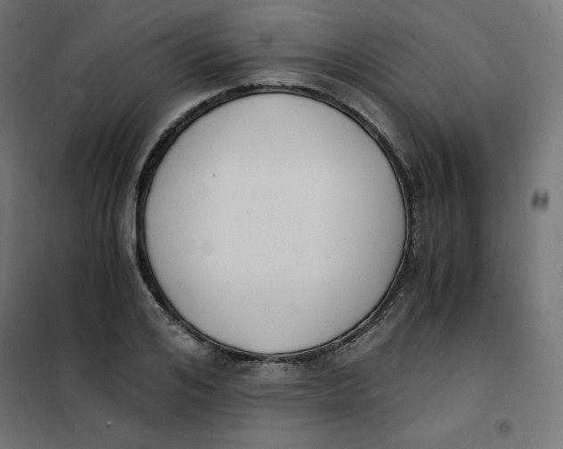 X0000101390984200807280934
