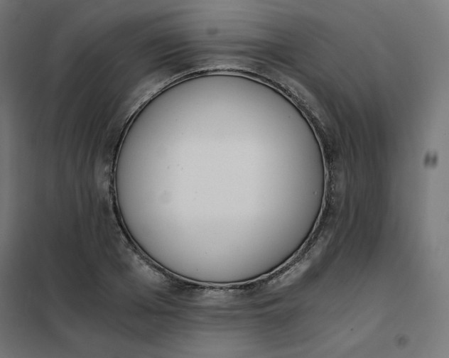 X0000101390985200807280934