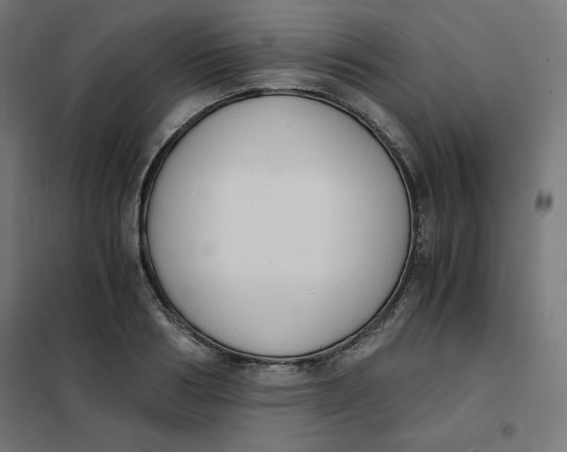 X0000101390986200807280934