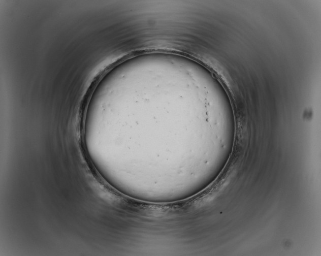 X0000101390987200807280934