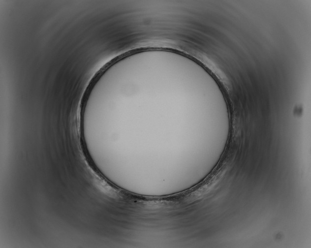 X0000101390988200807280933