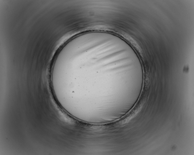 X0000101390989200807280933