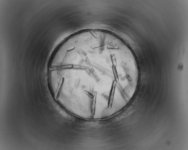 X0000101390990200807280933