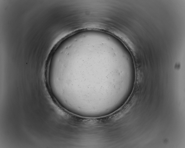 X0000101390991200807280933