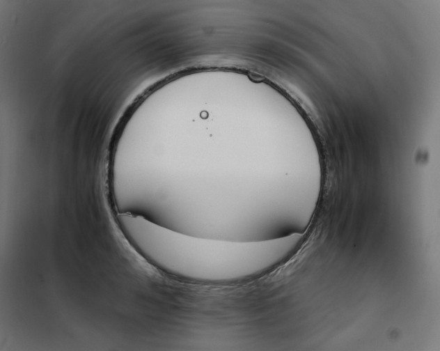 X0000101390992200807280933