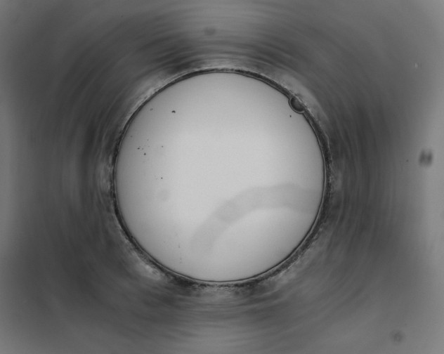 X0000101390993200807280933