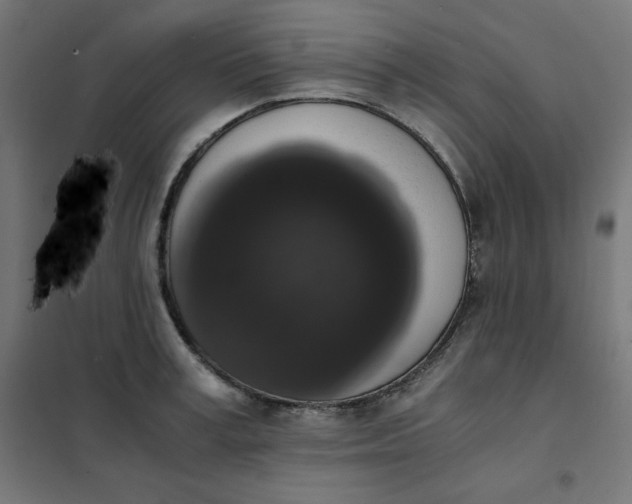 X0000101390995200807280933