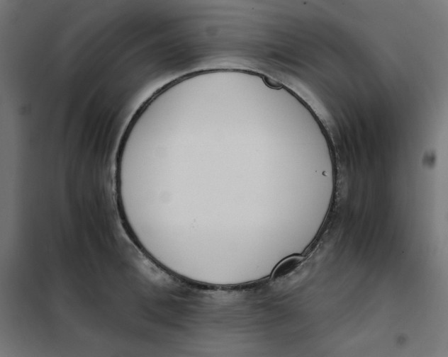 X0000101390996200807280933