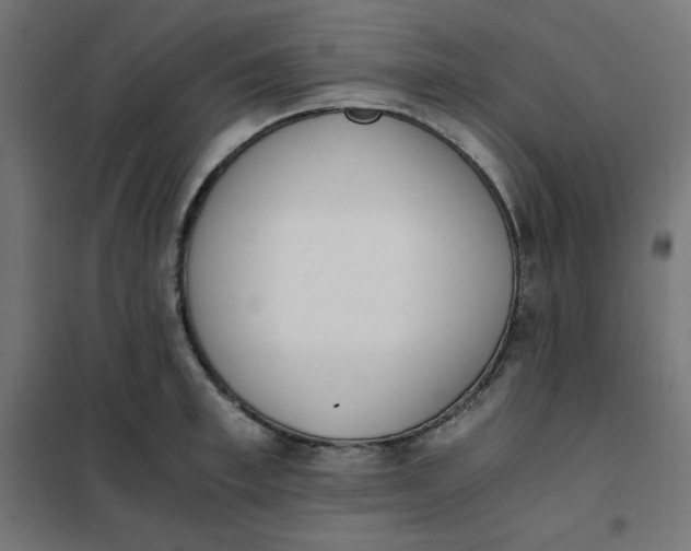 X0000101390997200807280933