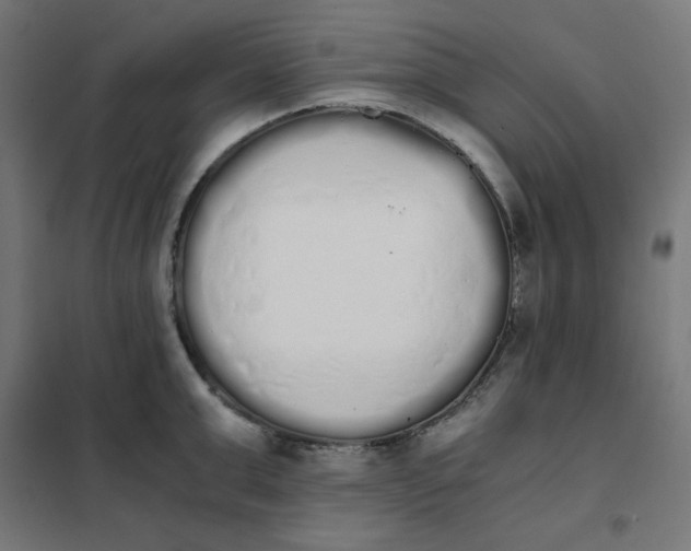 X0000101390999200807280933