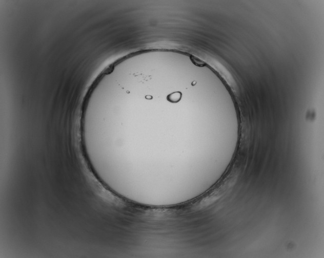 X0000101391000200807280933