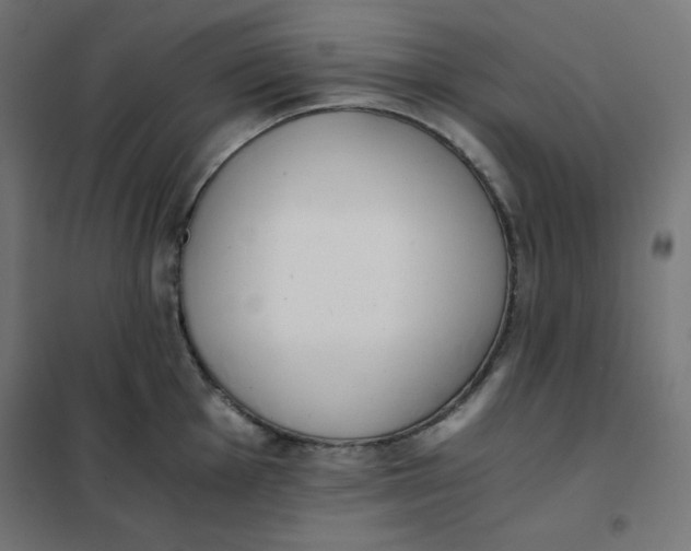 X0000101391001200807280933