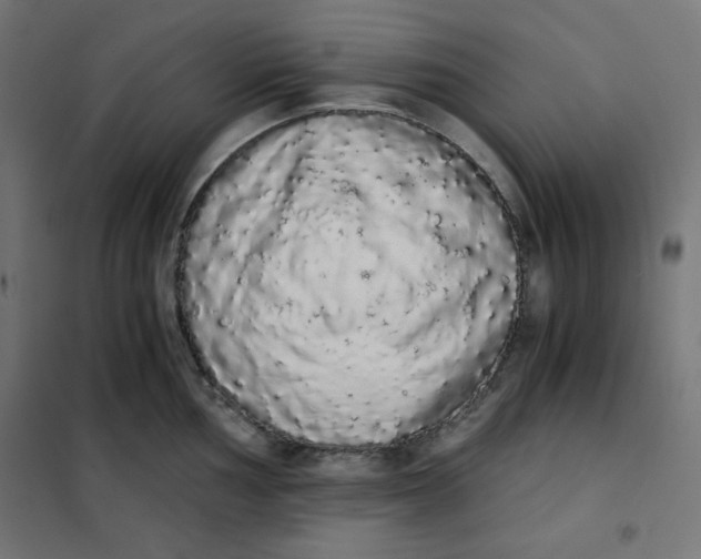 X0000101391002200807280933