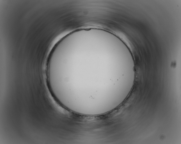 X0000101391003200807280933