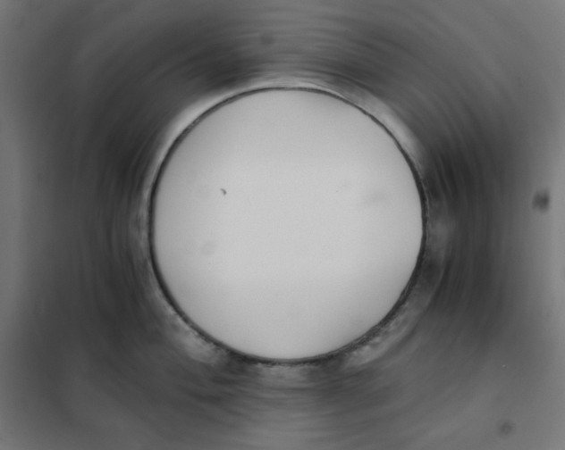 X0000101391004200807280933