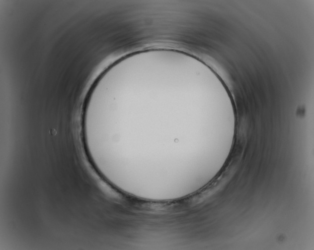 X0000101391005200807280933