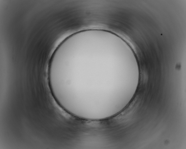 X0000101391006200807280933