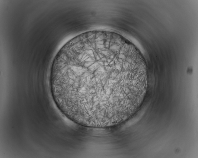 X0000101391007200807280933