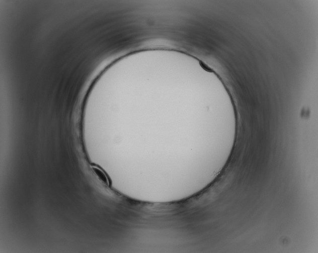 X0000101391008200807280933