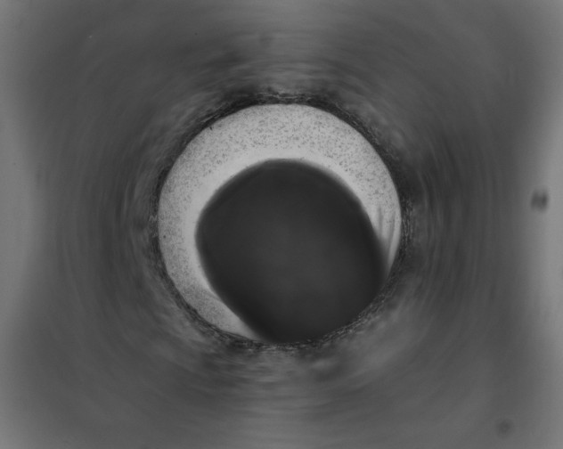 X0000101391009200807280933