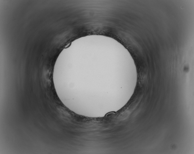 X0000101391010200807280933