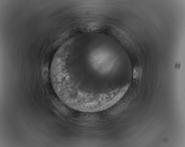 X0000101391011200807280933