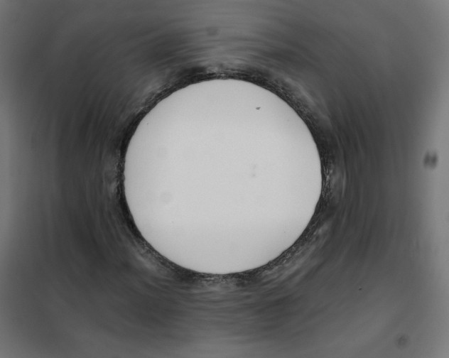 X0000101391012200807280933