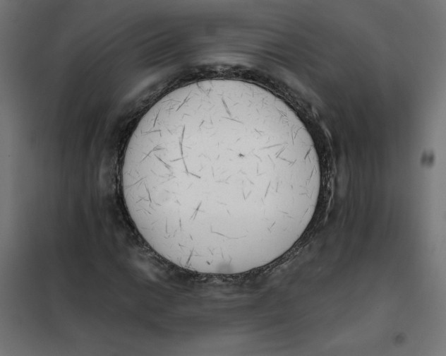X0000101391014200807280933