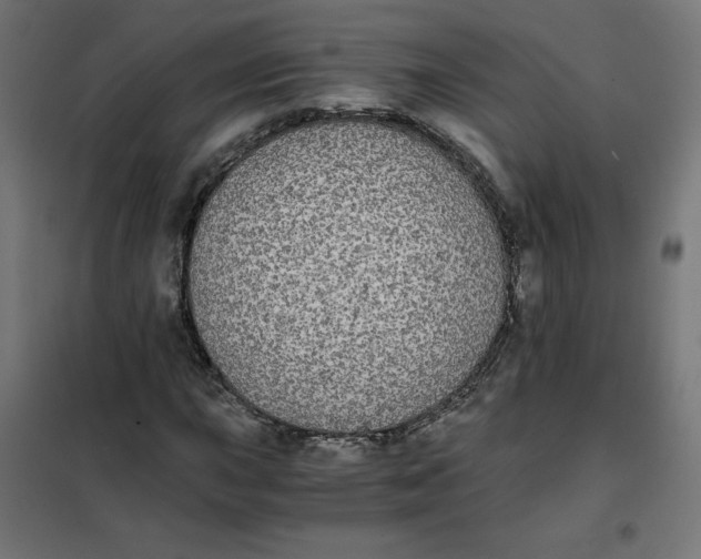 X0000101391015200807280933