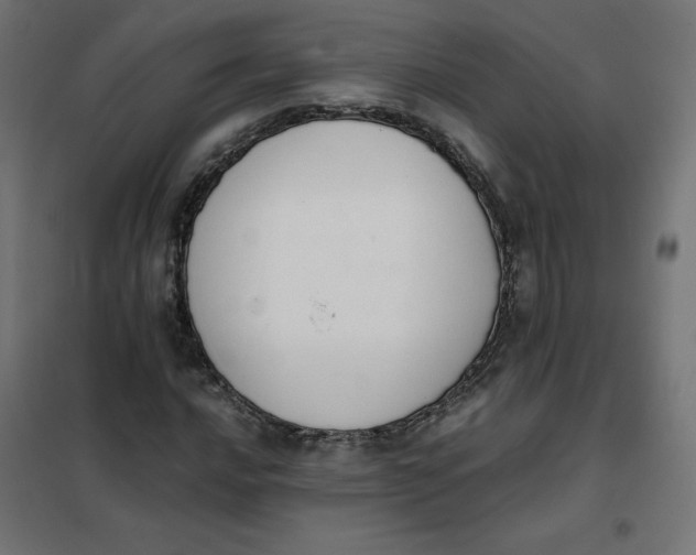 X0000101391016200807280933