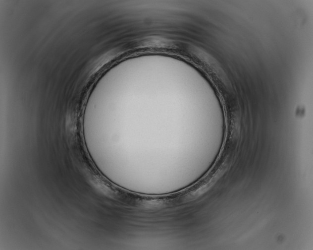 X0000101391017200807280933