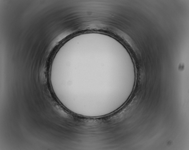 X0000101391018200807280933