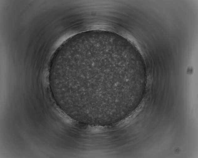 X0000101391019200807280933