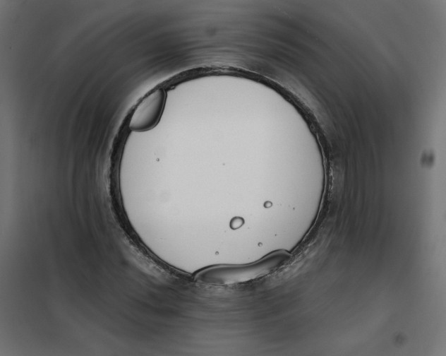 X0000101391020200807280933