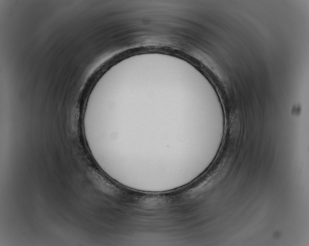 X0000101391021200807280933