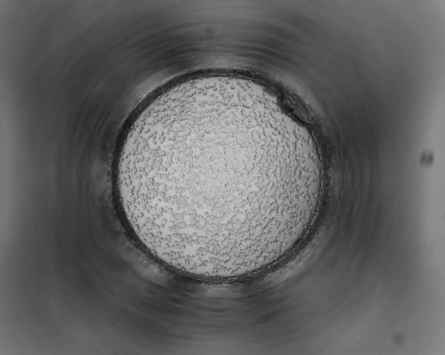 X0000101391025200807280933