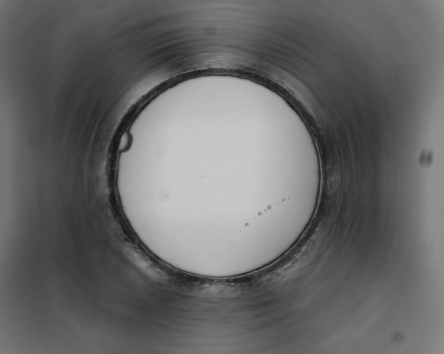 X0000101391026200807280933