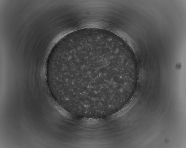 X0000101391027200807280933