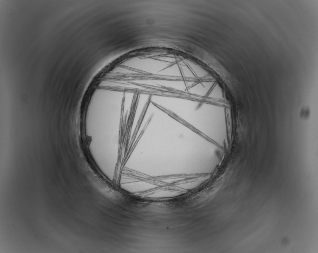 X0000101391028200807280933